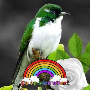 Meet your Posher, Richère